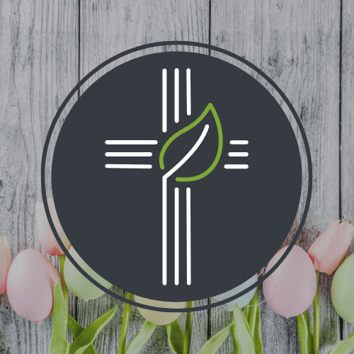 Family Easter Event 2025 CSTrinity Feature Image